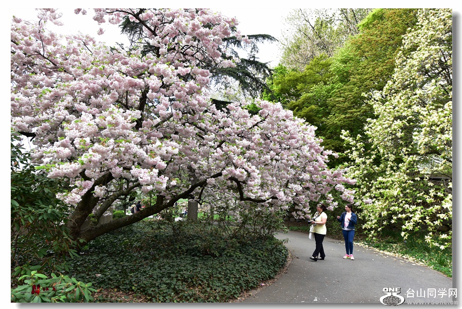 DSC_6290 - ����_����.jpg