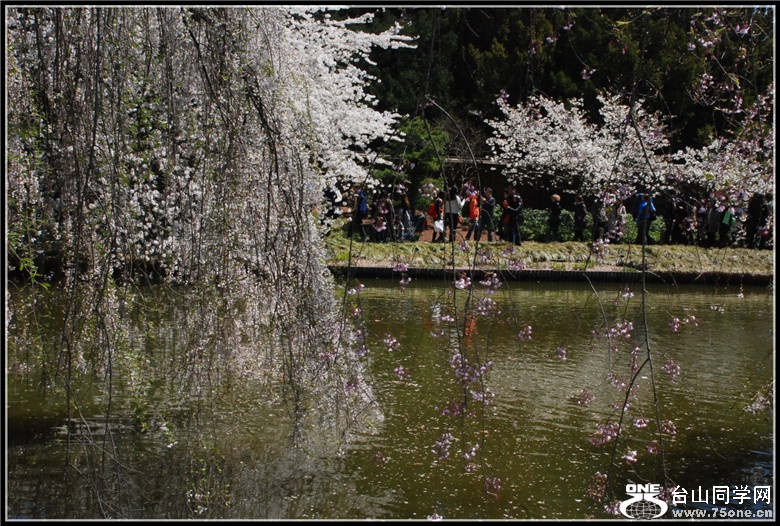 DSC_0221.jpg