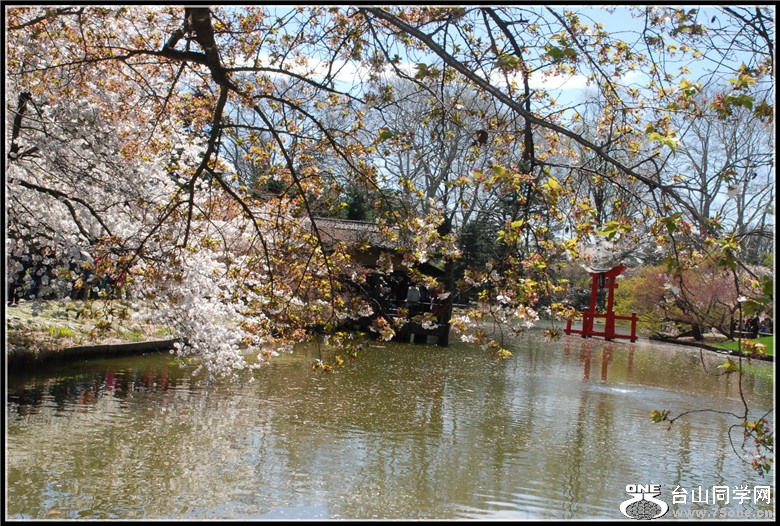 DSC_0226.jpg