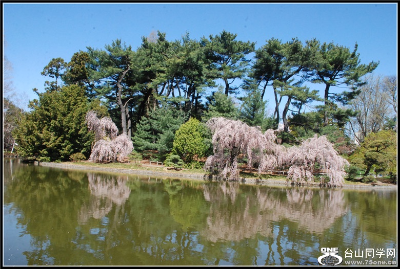 DSC_0058_.jpg