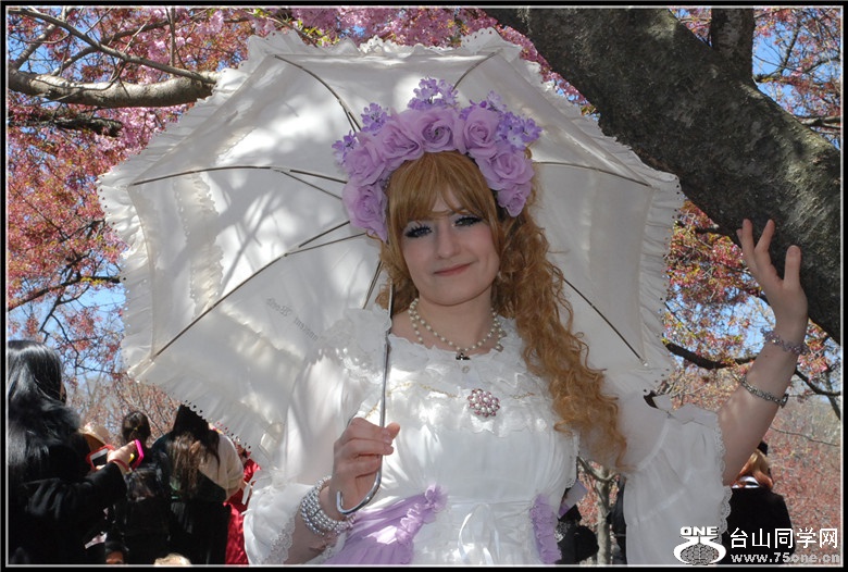 DSC_0255.jpg