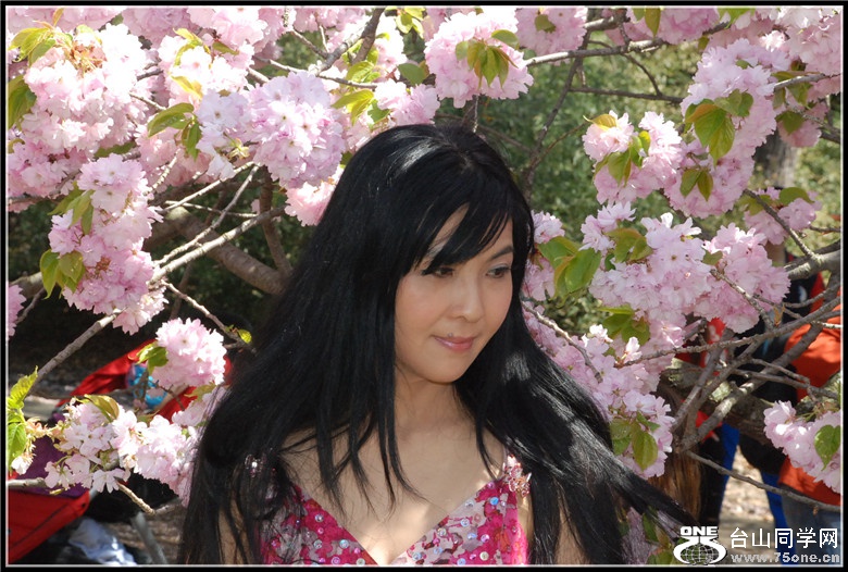 DSC_0215.jpg