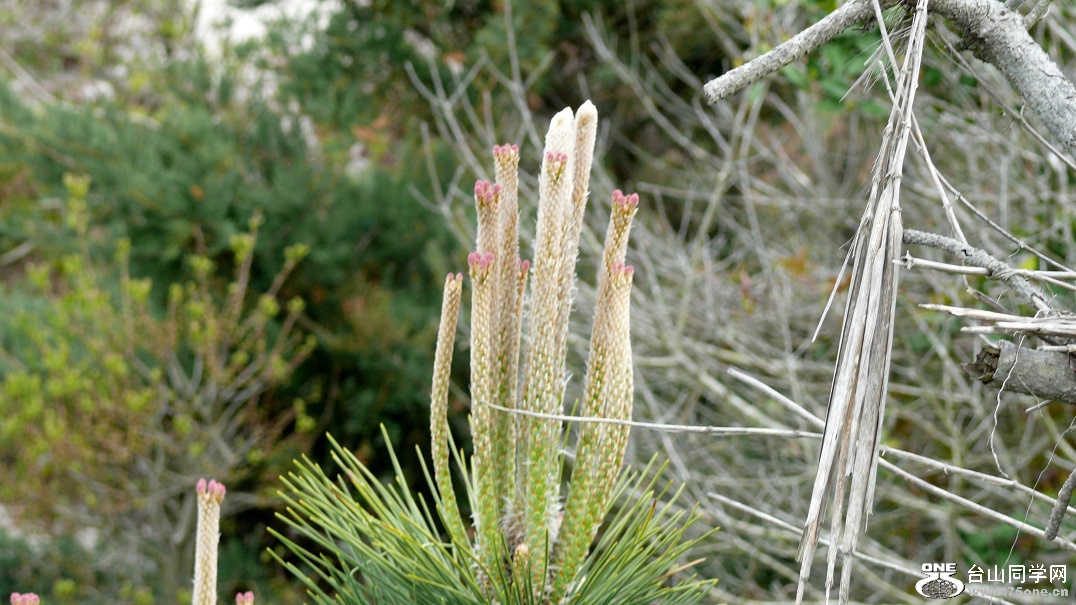 l2290267_conew1.jpg