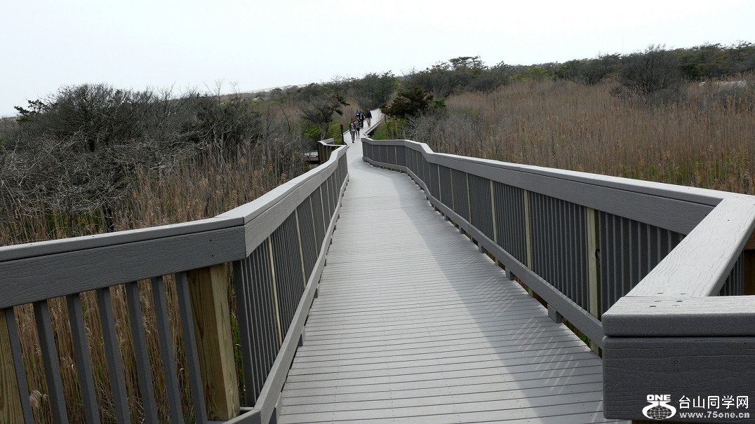 l2290230_conew1.jpg