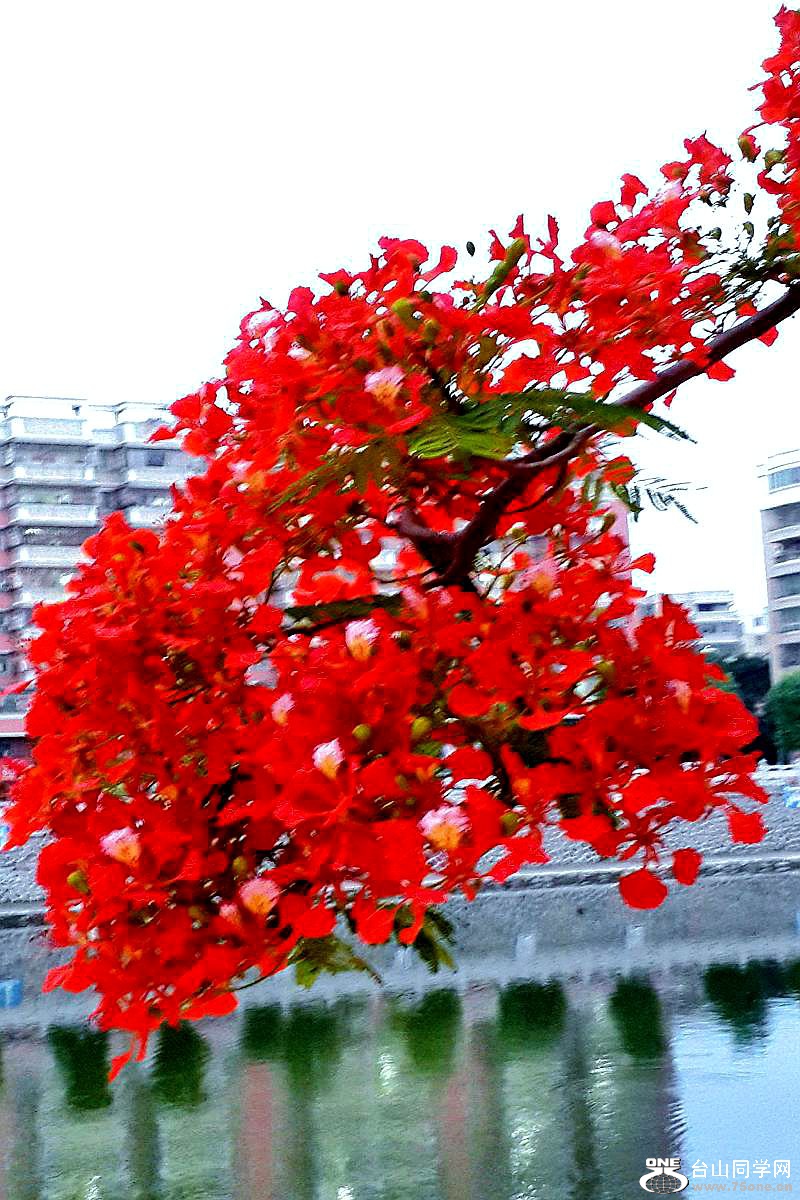 C360_2015-05-06-18-52-27-989.jpg