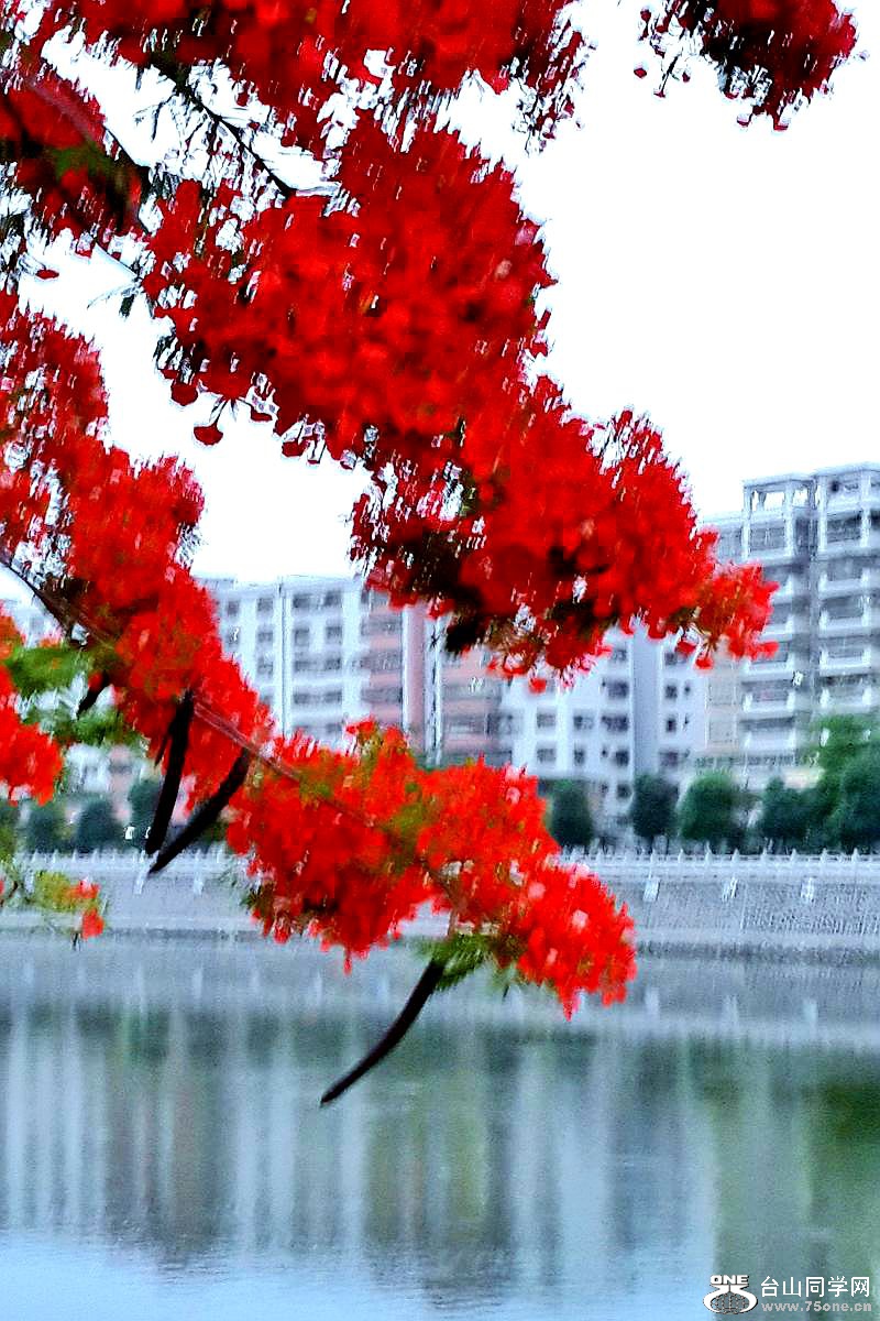 C360_2015-05-06-18-51-27-296.jpg