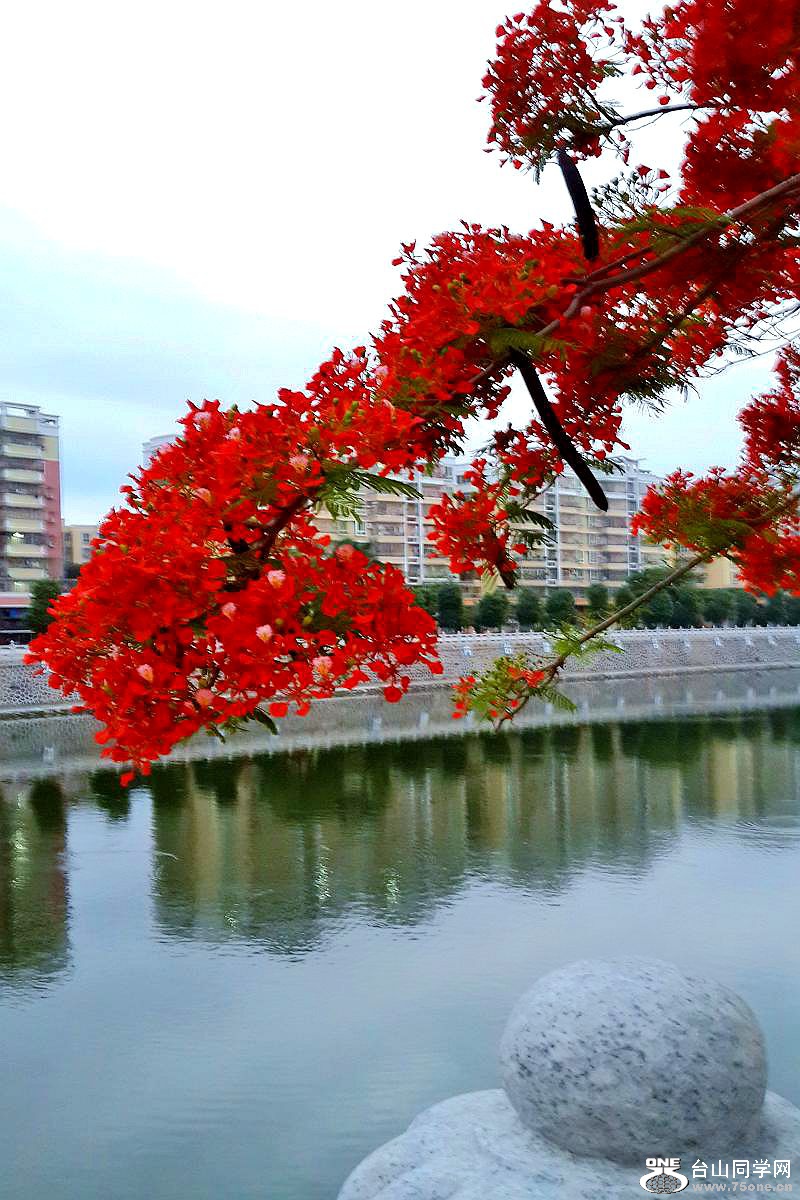 20150506_185310.jpg