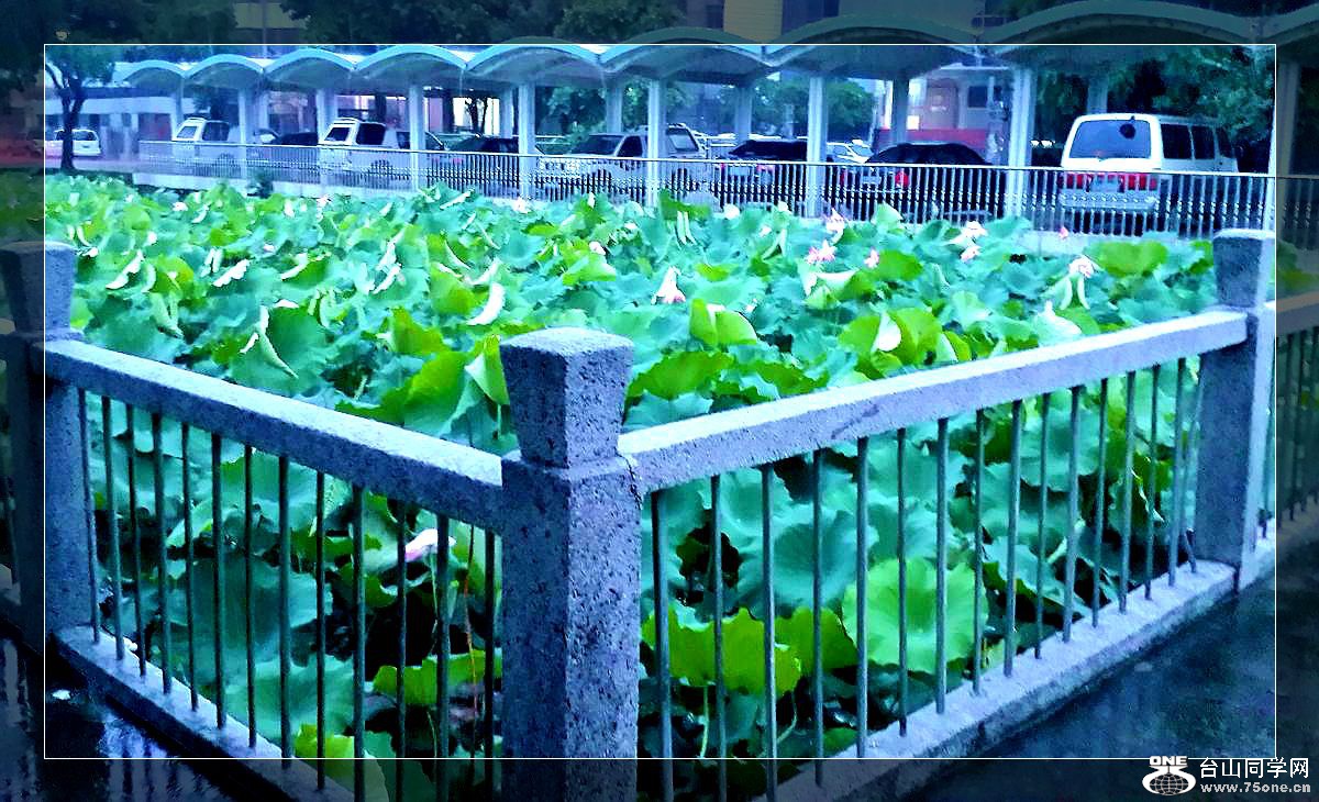 20150516_185425.jpg