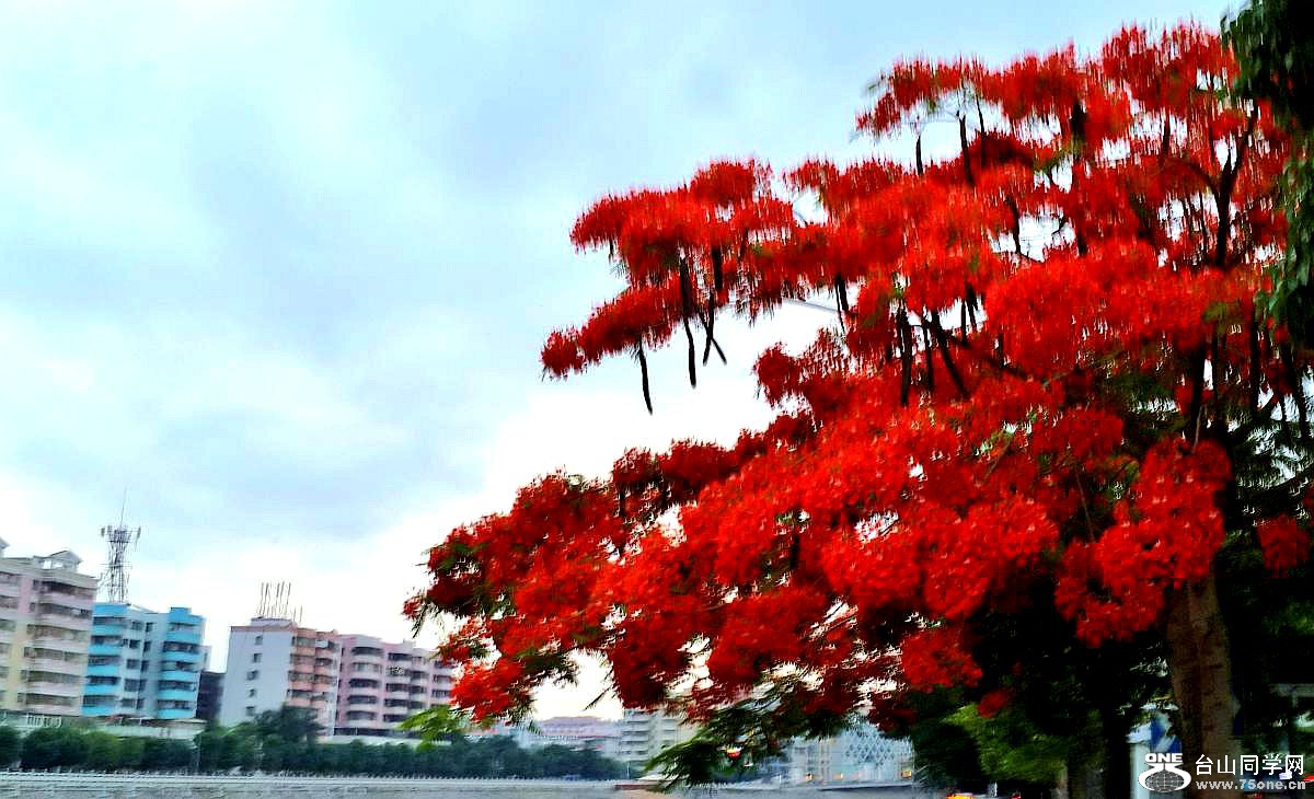 20150506_184615.jpg