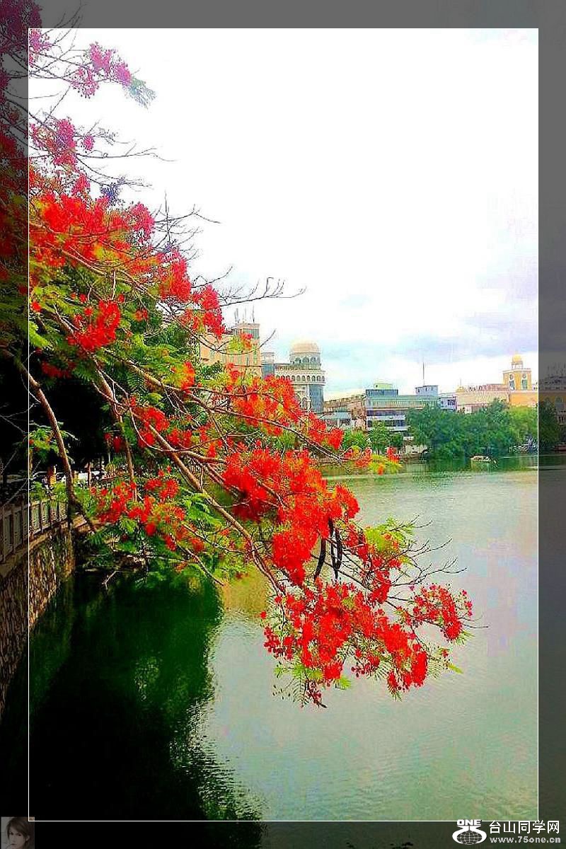 20140521_104615.jpg