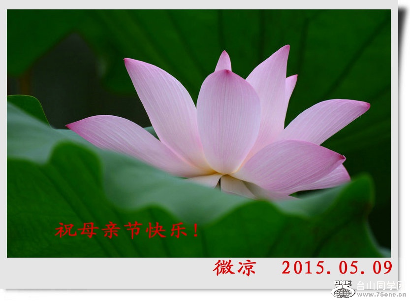 DSC_7697_副本3.JPG