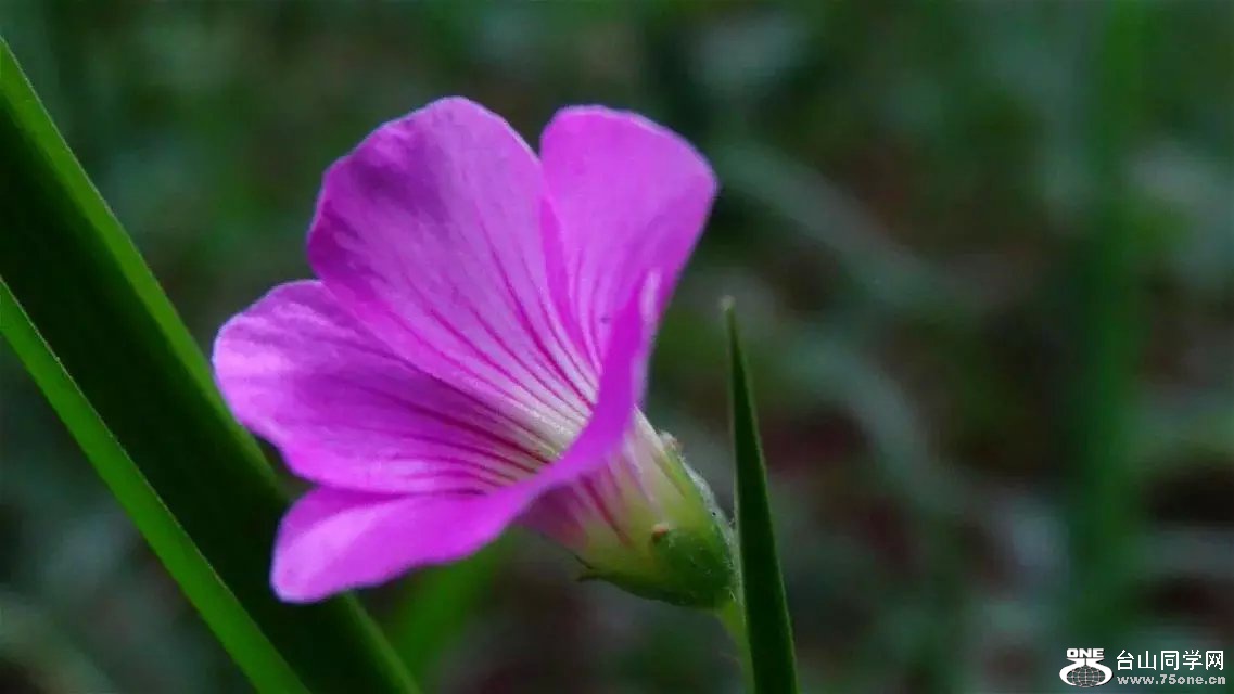 psb (9).jpg