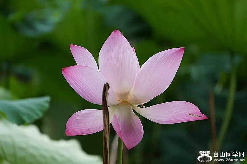 psb (17).jpg