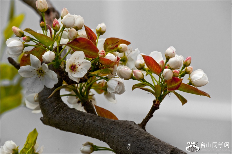 DSC_3573aa.jpg