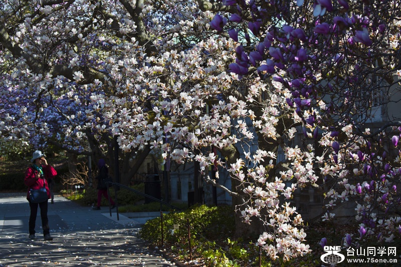 DSC_2958aa.jpg