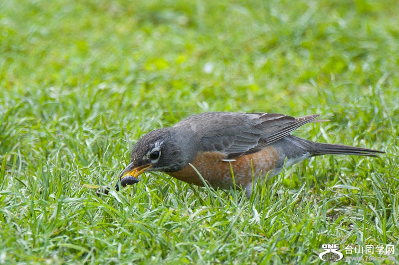 DSC_4682aa.jpg