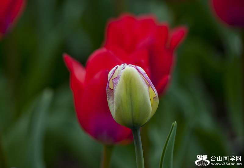 DSC_3850aa.jpg