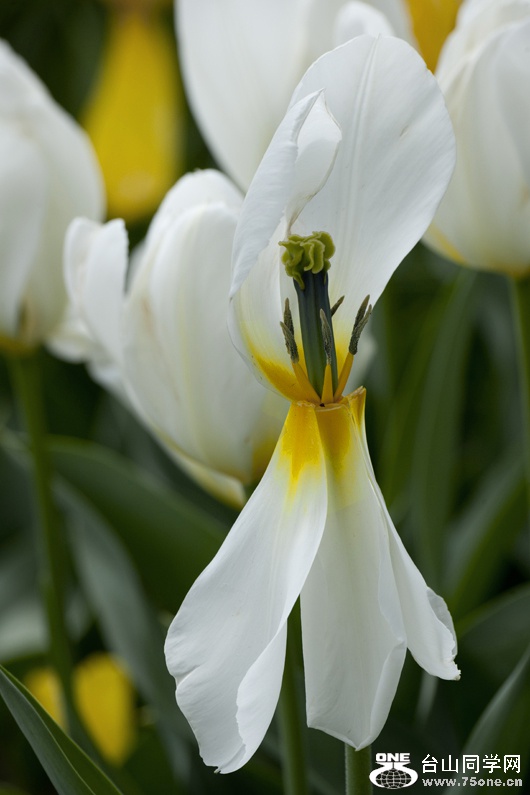 DSC_4872aa.jpg