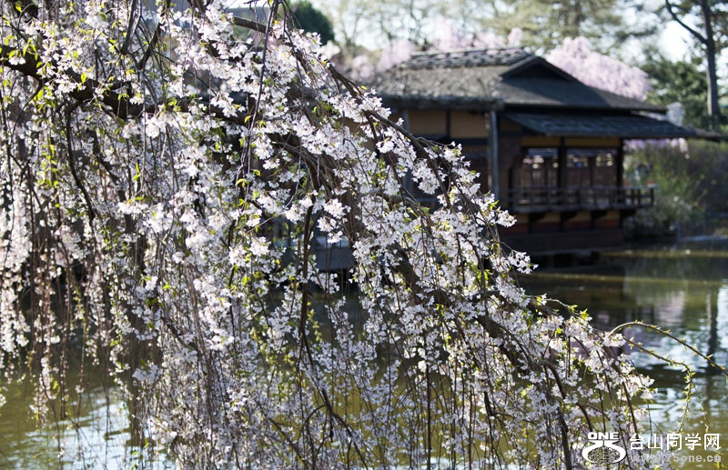 DSC_2867aa.jpg