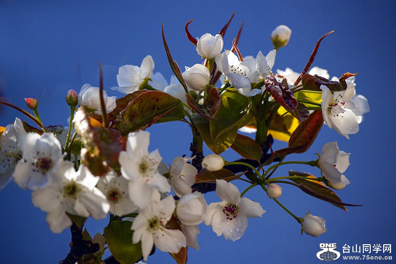 DSC_3669aa.jpg