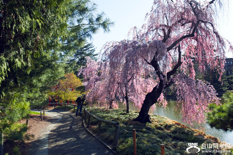 DSC_2889aa.jpg