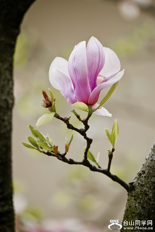 DSC_4827aa.jpg