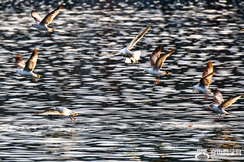 DSC_5024aa.jpg