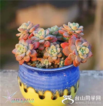 0 (30).jpg