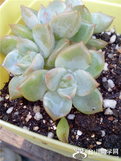 0 (73).jpg