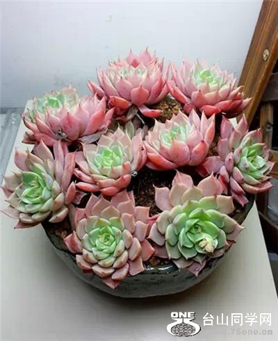 0 (39).jpg