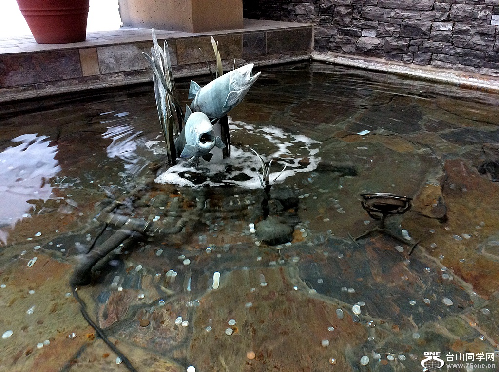 IMG_9661.JPG