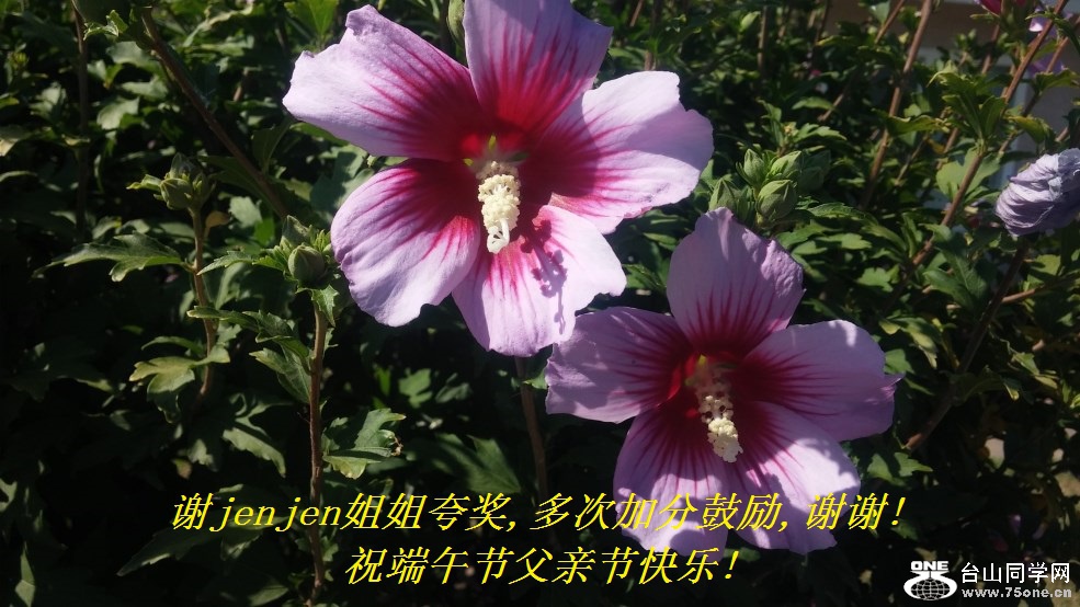 лjenjen佱,μӷֹ,лл!ףڸ׽ڿ!.jpg