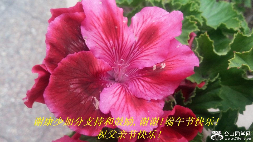 谢康少加分支持和鼓励,谢谢!端午节快乐!祝父亲节快乐!.jpg