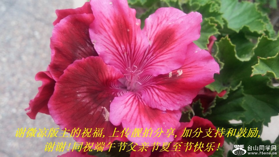 л΢ף,ϴķ,ӷֺ֧͹,лл!ͬףڸ׽ڿ!.jpg