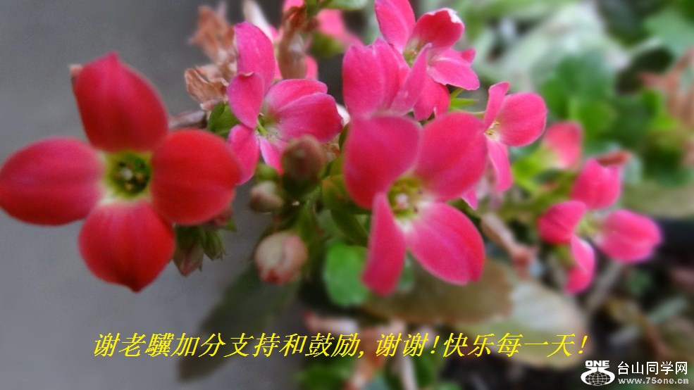 лKӷֺ֧͹,лл!ÿһ!.jpg