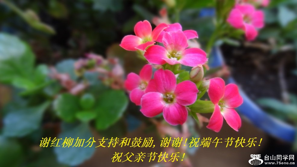 谢红柳加分支持和鼓励,谢谢!祝端午节快乐!祝父亲节快乐!.jpg
