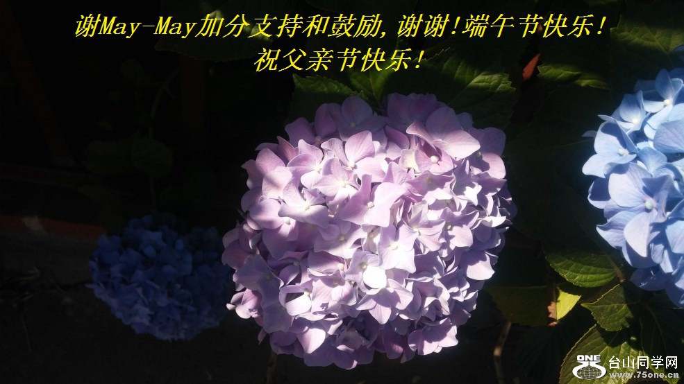谢May-May加分支持和鼓励,谢谢!端午节快乐!祝父亲节快乐!.jpg