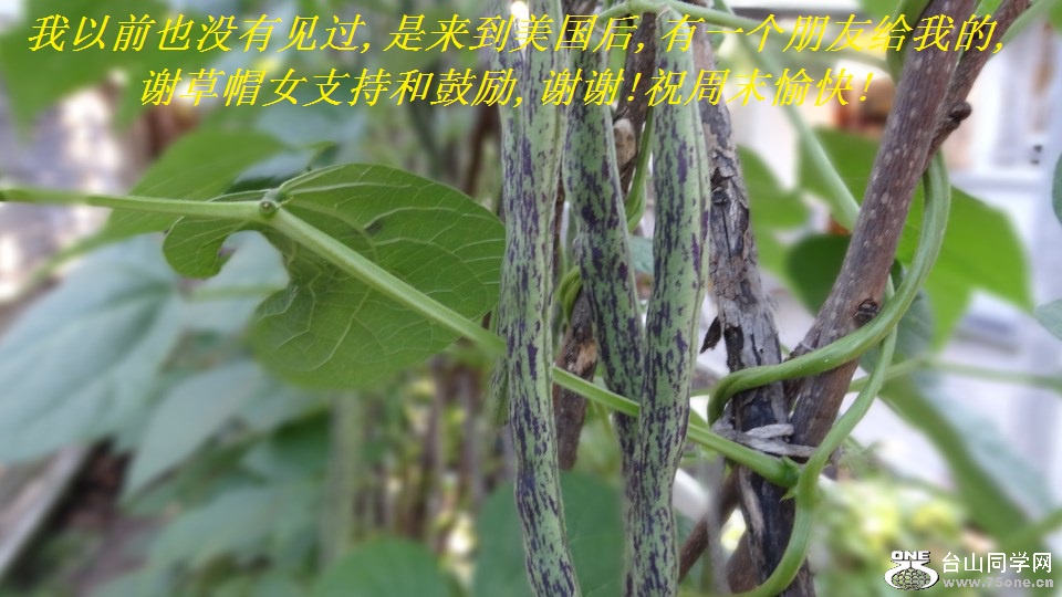 ǰҲûм,,һѸҵ,лñŮֺ֧͹,лл!ףĩ!.jpg