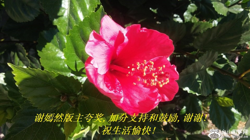 谢嫣然版主夸奖,加分支持和鼓励,谢谢!祝生活愉快!.jpg