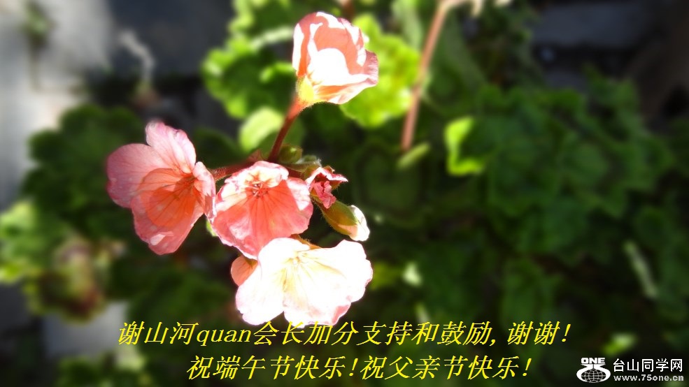 谢山河quan会长加分支持和鼓励,谢谢!祝端午节快乐!祝父亲节快乐!.jpg