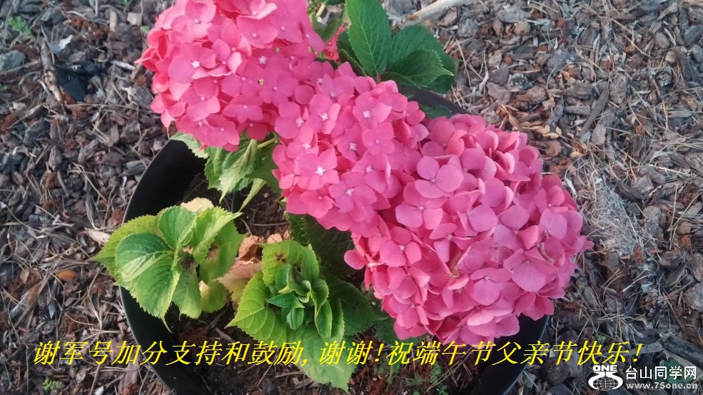 лżӷֺ֧͹,лл!ףڸ׽ڿ!.jpg