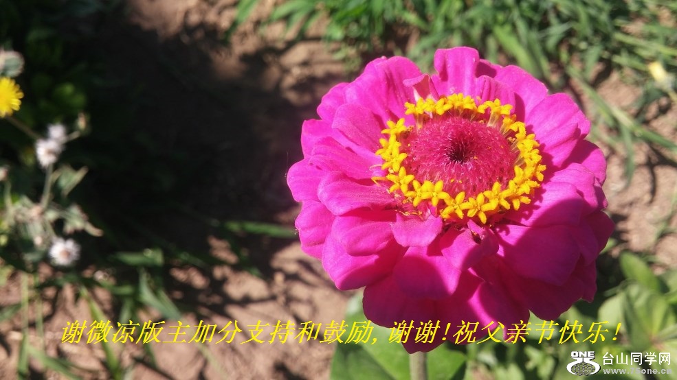 谢微凉版主加分支持和鼓励,谢谢!祝父亲节快乐!.jpg