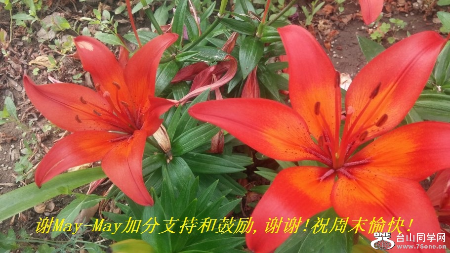 лMay-Mayӷֺ֧͹,лл!ףĩ!.jpg