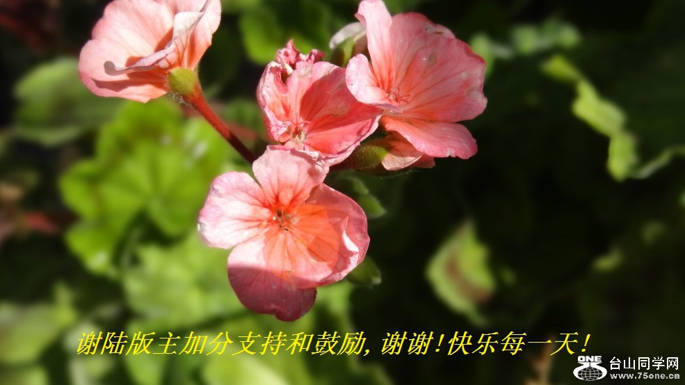 л½ӷֺ֧͹,лл!ÿһ!.jpg