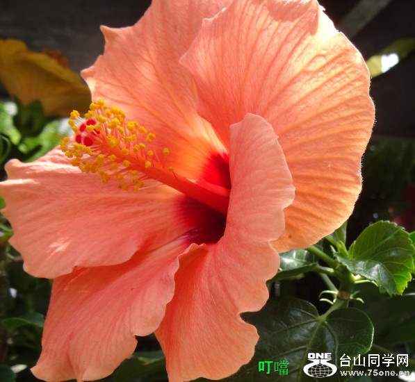 DSC06514b_1.jpg