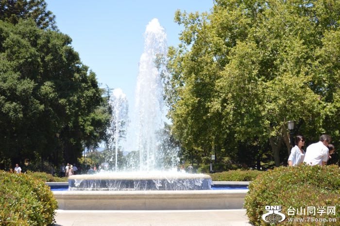 DSC_0692.jpg