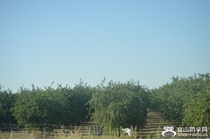 DSC_0667.jpg