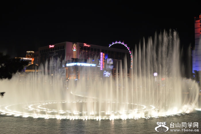 DSC_0362.jpg