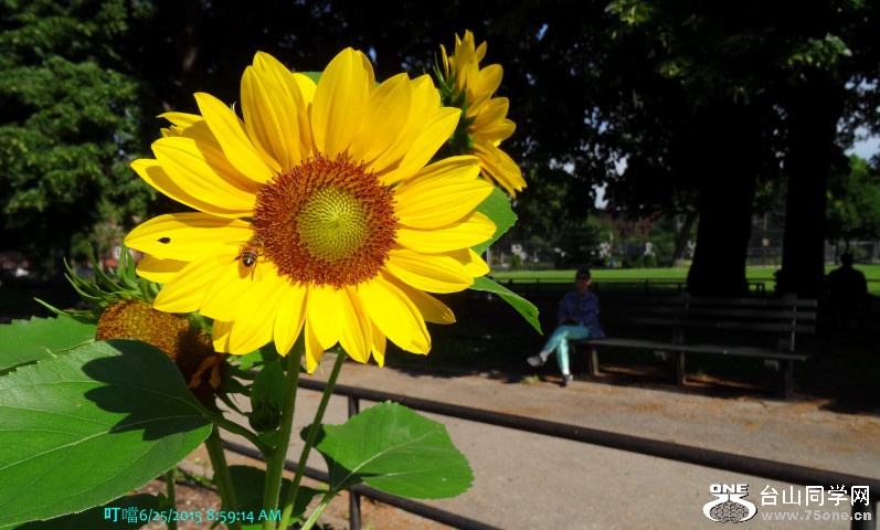 DSC06993a_1.jpg