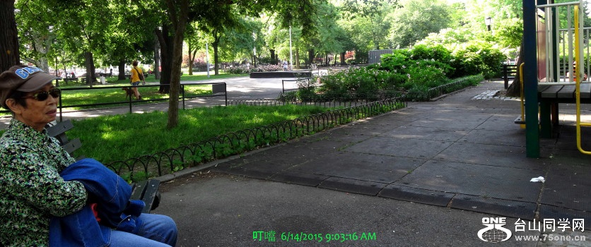 DSC06785a_1.jpg